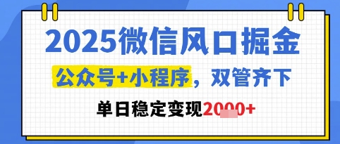 2025微信风口掘金，公众号+小程序双管齐下，单日稳定变现1k+【揭秘】-路子网