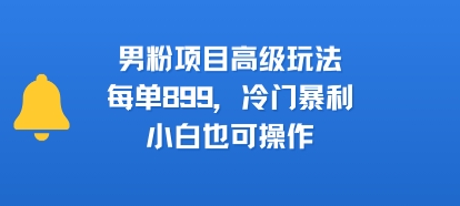 男粉项目高级玩法，每单899，冷门暴利，小白也可操作-路子网