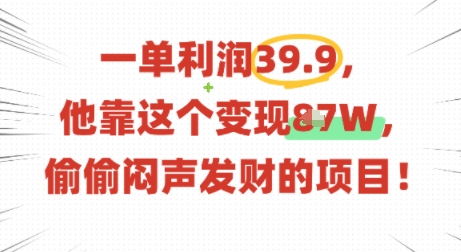 一单利润39.9，有人靠这个变现几十个，偷偷闷声发财的项目-路子网