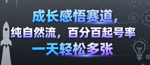 成长感悟赛道，纯自然流，百分百起号率 一天轻松多张-路子网
