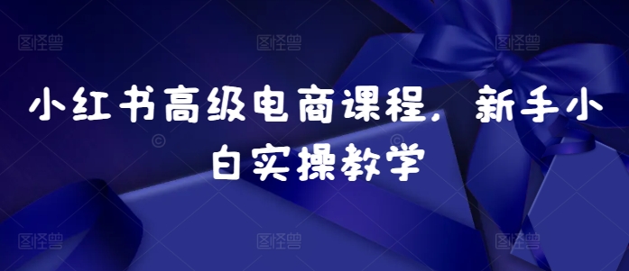 小红书高级电商课程，新手小白实操教学-路子网