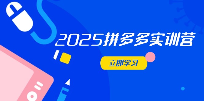 2025拼多多实训营：深度剖析运营关键，助力电商人快速提升-路子网