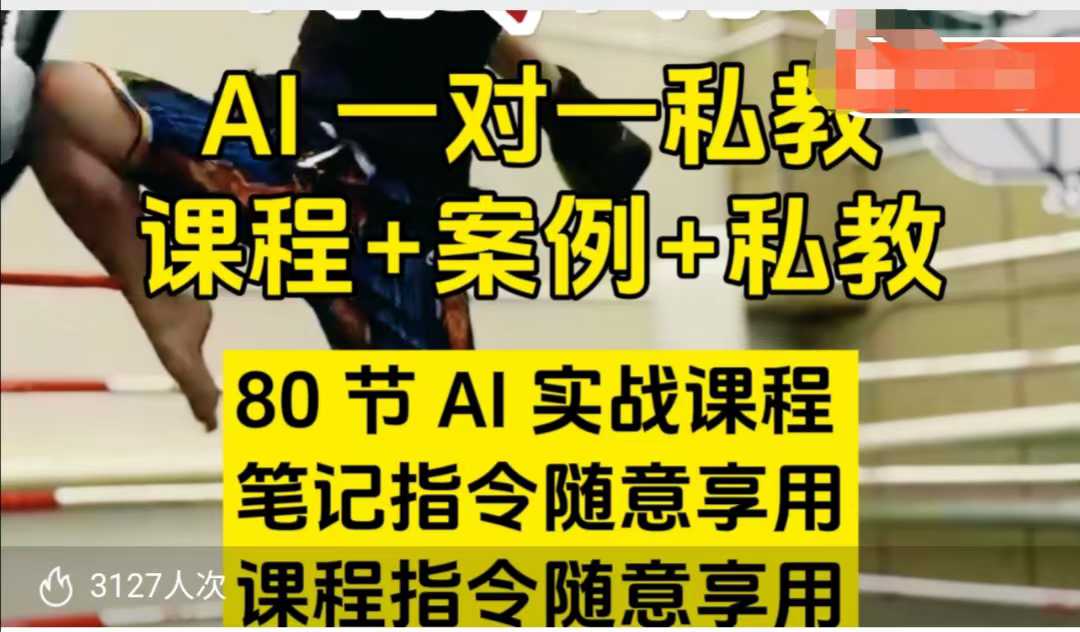 AI指令实战课，课程+案例，80节AI实战课程，笔记指令随意享用，课程指令随意享用(更新7月)-路子网