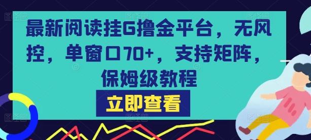 最新阅读挂G撸金平台，无风控，单窗口70+，支持矩阵，保姆级教程【揭秘】-路子网
