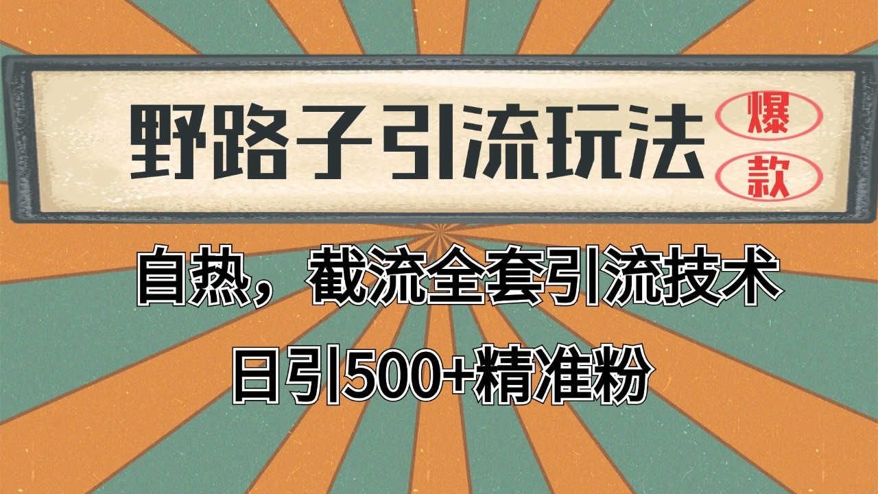 2024首发野路子引流玩法截流自热全平台打法，全自动引流【日引2000+精准客户】-路子网