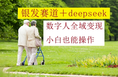 银发赛道+deepseek数字人全域变现，小白也能操作-路子网