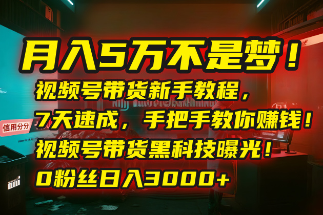 月入5万不是梦！视频号带货新手教程，7天速成，手把手教你赚钱！视频号…-路子网