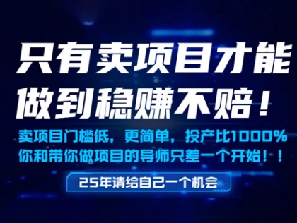 只有卖项目才能做到稳挣不赔，门槛低，更简单，你也可以年入百个W【揭秘】-路子网