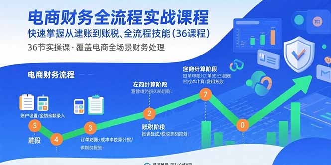 电商财务全流程实战课程：快速掌握从建账到报税的全流程技能(36节课-路子网