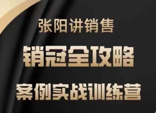 张阳讲销售实战训练营，​案例实战训练，销冠全攻略-路子网