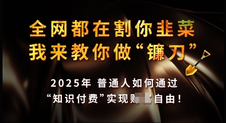 知识付费如何做到月入过W+，2025我来教你做“镰刀”【揭秘】-路子网