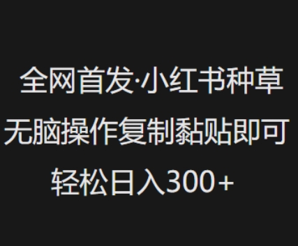 全网首发，小红书种草无脑操作，复制黏贴即可，轻松日入3张-路子网