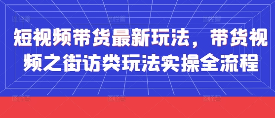 短视频带货最新玩法，带货视频之街访类玩法实操全流程-路子网