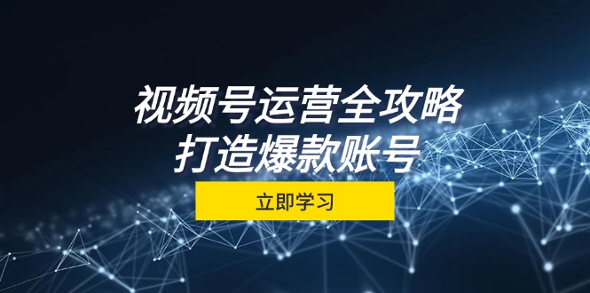 视频号运营全攻略，从定位到成交一站式学习，视频号核心秘诀，打造爆款…-路子网