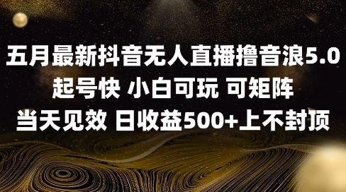 2025五月最新无人直播撸音浪单日产出5张+实操教程【揭秘】-路子网