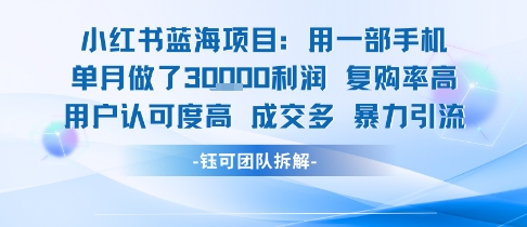 小红书蓝海项目，一部手机单月做了3W利润，小白也能月入过1W用户认可度高成交多-路子网