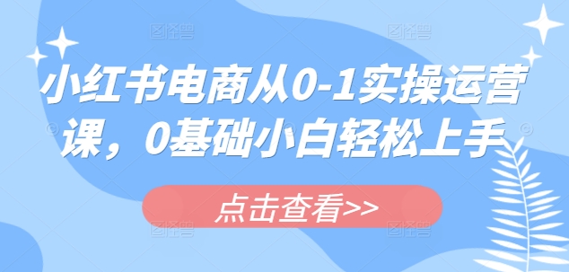 小红书电商从0-1实操运营课，0基础小白轻松上手-路子网