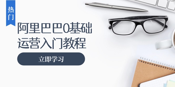 阿里巴巴运营零基础入门教程：涵盖开店、运营、推广，快速成为电商高手-路子网