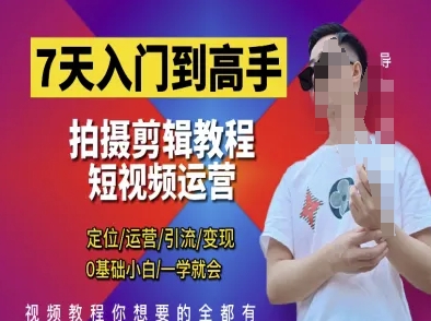 7天入门到高手，短视频剪辑运营高手课，定位 运营 引|流 变现，0基础小白一学就会-路子网