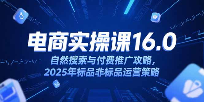 淘宝电商运营课16.0，自然搜索与付费推广攻略，2025年标品非标品运营策略-路子网
