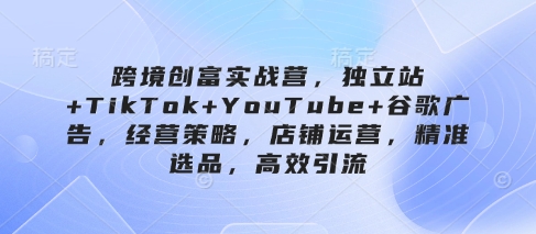 跨境创富实战营，独立站+TikTok+YouTube+谷歌广告，经营策略，店铺运营，精准选品，高效引流-路子网