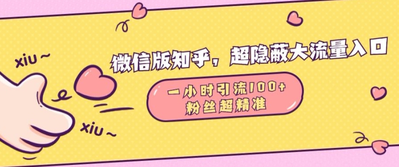 微信版知乎，超隐蔽流量入口1小时引流100人，粉丝质量超高【揭秘】-路子网
