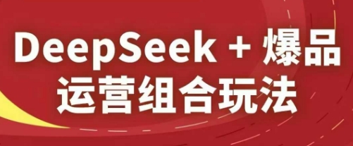 DeepSeek+爆品运营组合玩法，2025淘系精品课-路子网