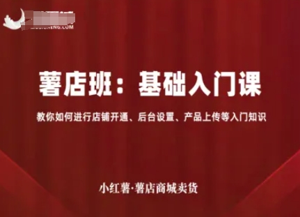 小红薯薯店商城卖货，基础入门课，教你如何进行店铺开通、后台设置、产品上传等入门知识-路子网