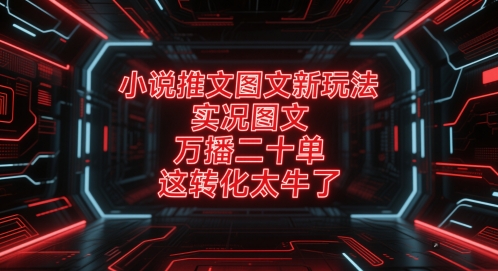 小说推文图文新玩法，实况图文，万播二十单，这转化太牛了！-路子网