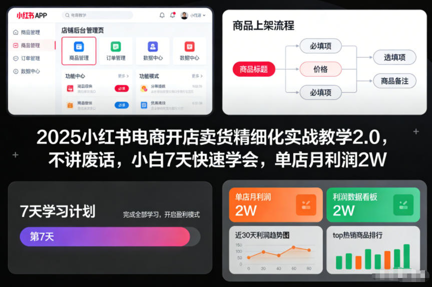 2025小红书电商开店卖货精细化实战教学2.0，不讲废话，小白7天快速学会，单店月利润2W-路子网