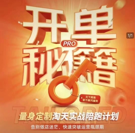 淘宝开单秘籍PRO，量身定制淘天实战陪跑计划，告别做店迷茫、快速突破运营瓶颈期(更新)-路子网