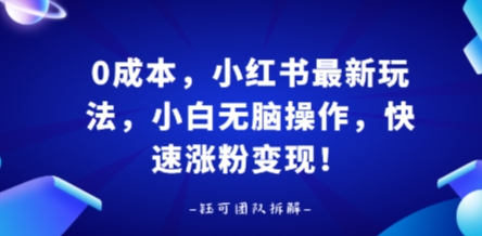 0成本，小红书最新玩法，小白无脑操作，快速涨粉变现-路子网