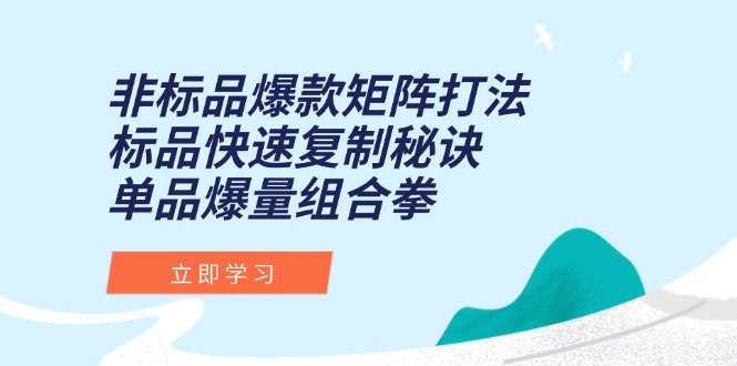 非标品爆款矩阵打法，标品快速复制秘诀，单品爆量组合拳-路子网