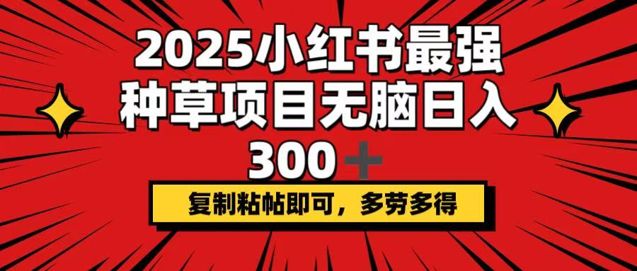 2025小红书最强种草项目，无脑日入300+，复制粘帖即可，多劳多得-路子网