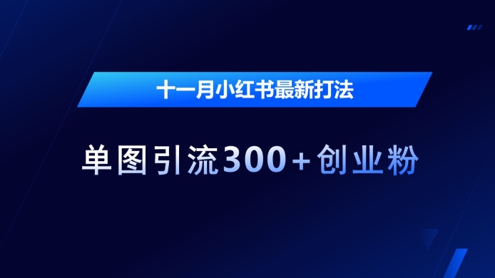 十一月小红书最新打法，单图引流300+创业粉【揭秘】-路子网