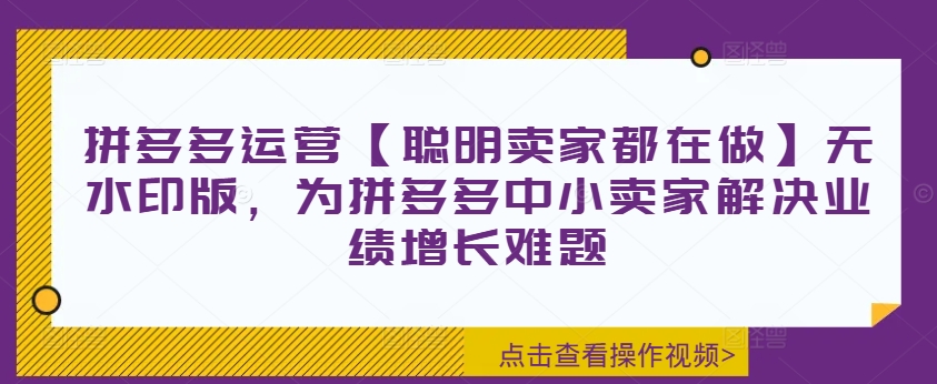 拼多多运营【聪明卖家都在做】无水印版，为拼多多中小卖家解决业绩增长难题-路子网