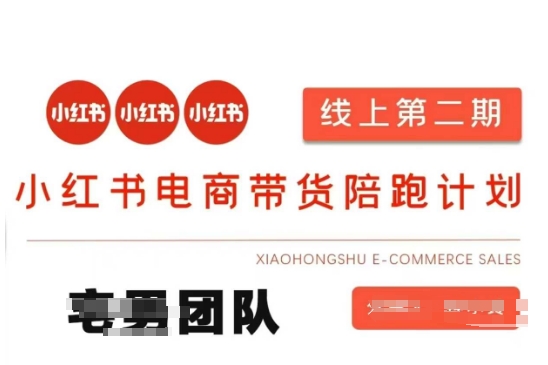 小红书电商带货课2期，月利润20个的小红书电商的有货源，无货源，虚拟产品，付费投流等整套玩法-路子网