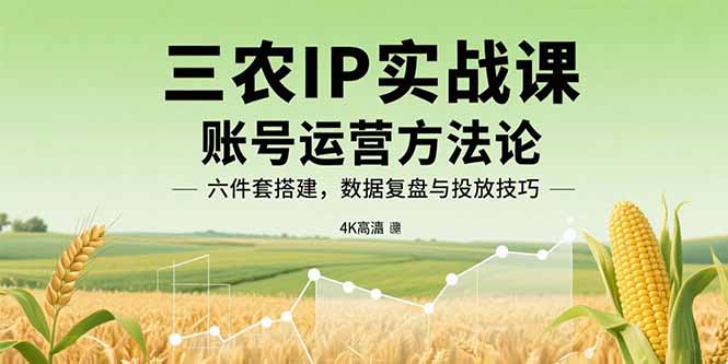 三农IP实战课：账号运营方法论，六件套搭建，数据复盘与投放技巧-路子网