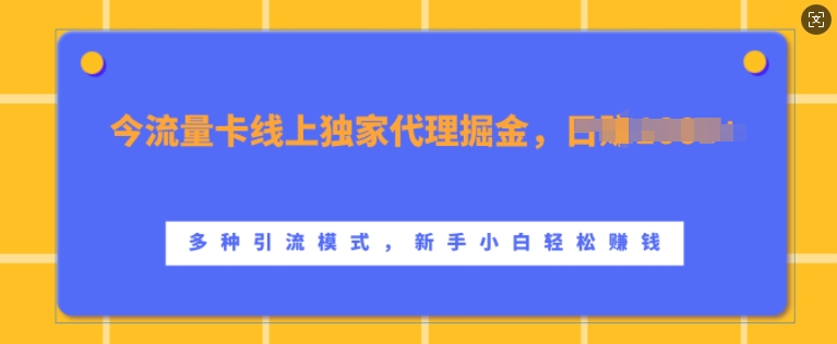 流量卡线上独家代理掘金，日入1k+ ，多种引流模式，新手小白轻松上手【揭秘】-路子网