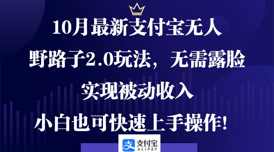 10月最新支付宝无人野路子2.0玩法，无需露脸，实现被动收入，小白也可…-路子网
