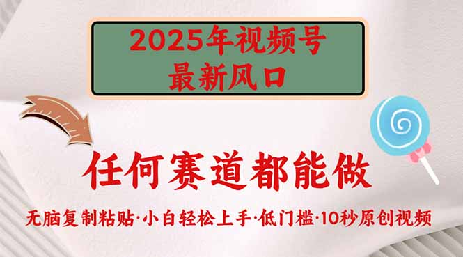 2025年视频号新风口，低门槛只需要无脑执行-路子网