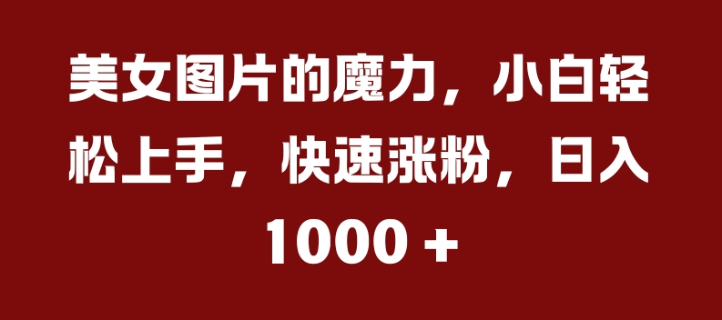美女图片的魔力，小白轻松上手，快速涨粉，日入几张【揭秘】-路子网