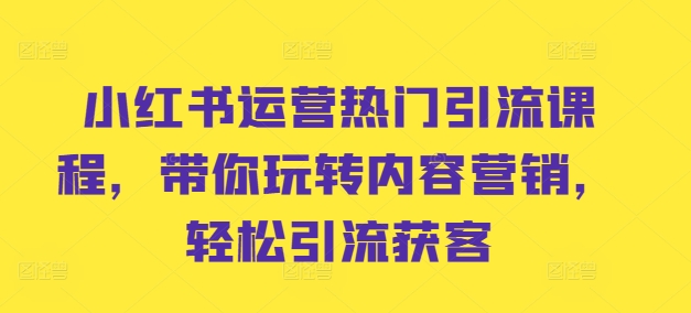 小红书运营热门引流课程，带你玩转内容营销，轻松引流获客-路子网