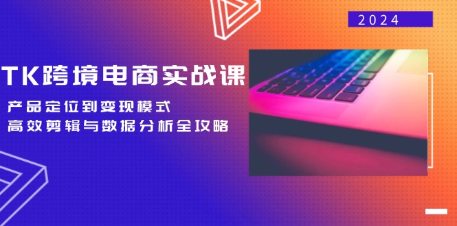 TK跨境电商实战课：产品定位到变现模式，高效剪辑与数据分析全攻略-路子网