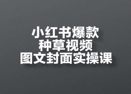 小红书爆款种草视频图文封面实操课，​开店、选品、引流、变现全流程-路子网