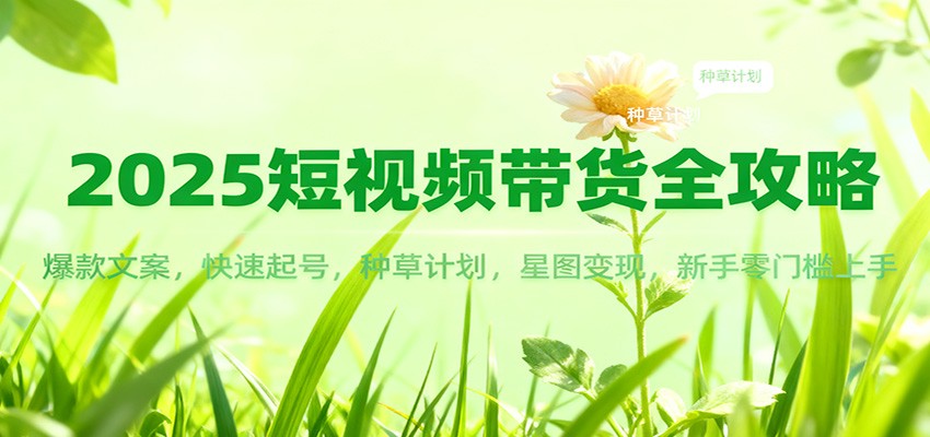 2025短视频带货全攻略：爆款文案，快速起号，种草计划，星图变现，新手零门槛上手-路子网