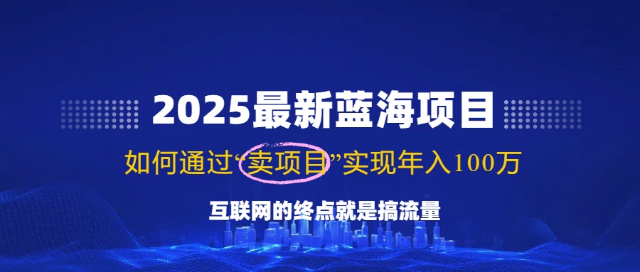 2025最新蓝海项目，零门槛轻松复制，月入10万+，新手也能操作！-路子网