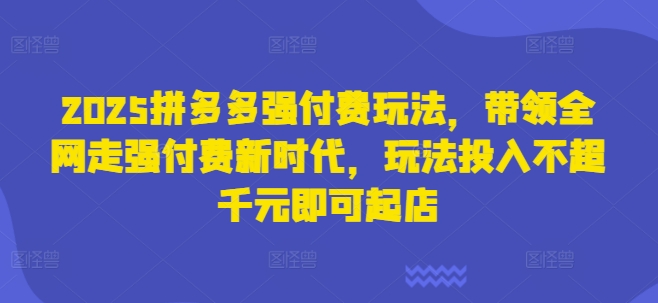 2025拼多多强付费玩法，带领全网走强付费新时代，玩法投入不超千元即可起店-路子网