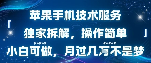 苹果手机技术服务，独家拆解，操作简单，小白可做，月过1W不是梦-路子网