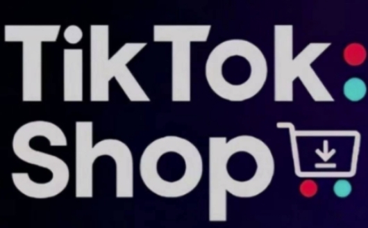 TikTokShop跨境电商0-1实战，手把手教你低成本启动海外市场(更新)-路子网